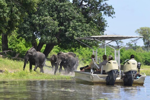 Chobe Princesses 008